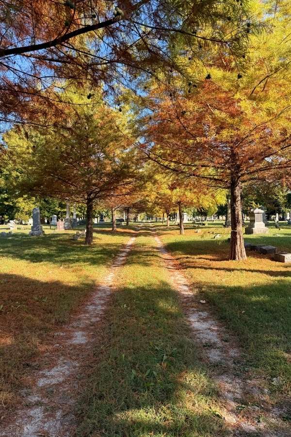 Maple Park Cemetery: An unexpected place to enjoy fall with&nbsp;kids