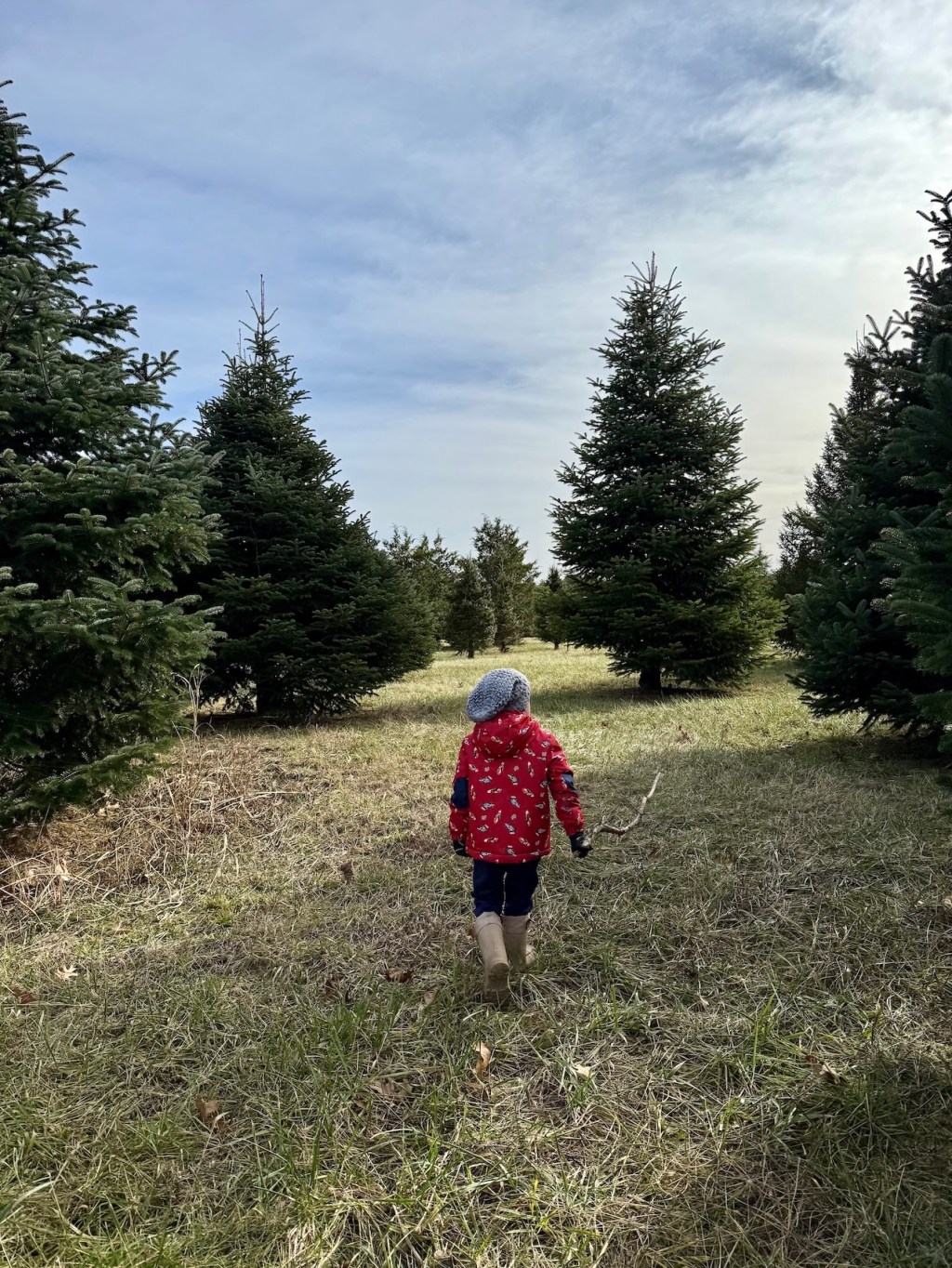 Winter outings with kids in Springfield, Mo.