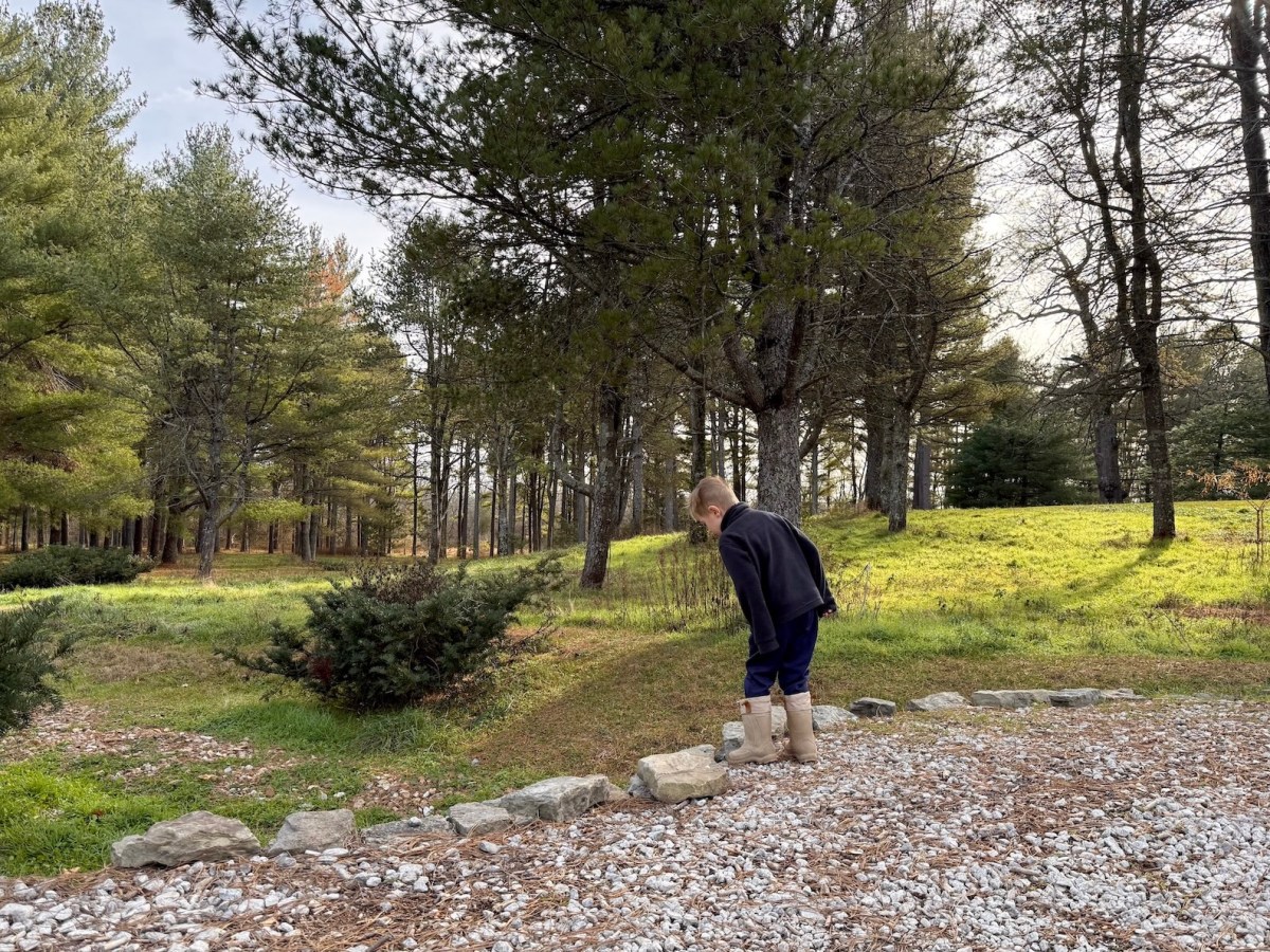 Walk beneath 90-foot pines at this Strafford hidden&nbsp;gem