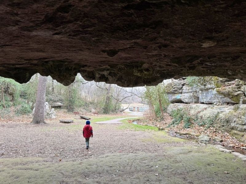 An underrated winter walk at Doling&nbsp;Park