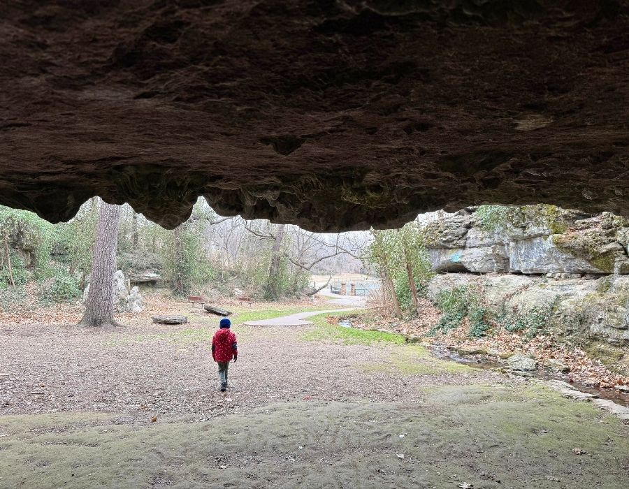 An underrated winter walk at Doling Park