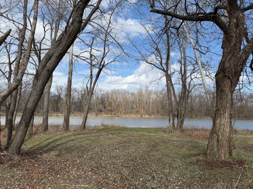 Flat land along the water's edge is surrounded by tall trees.