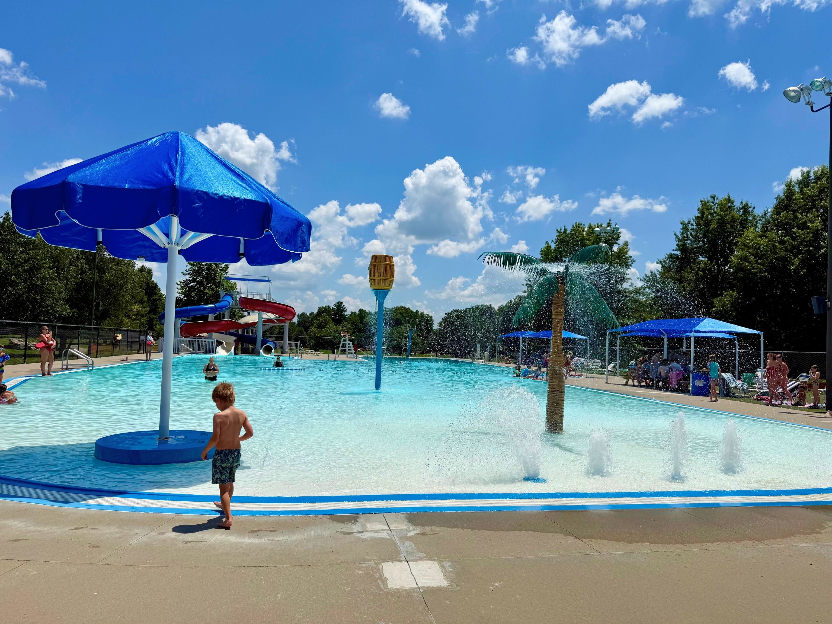 Willard might be Springfield’s most underrated summer family destination